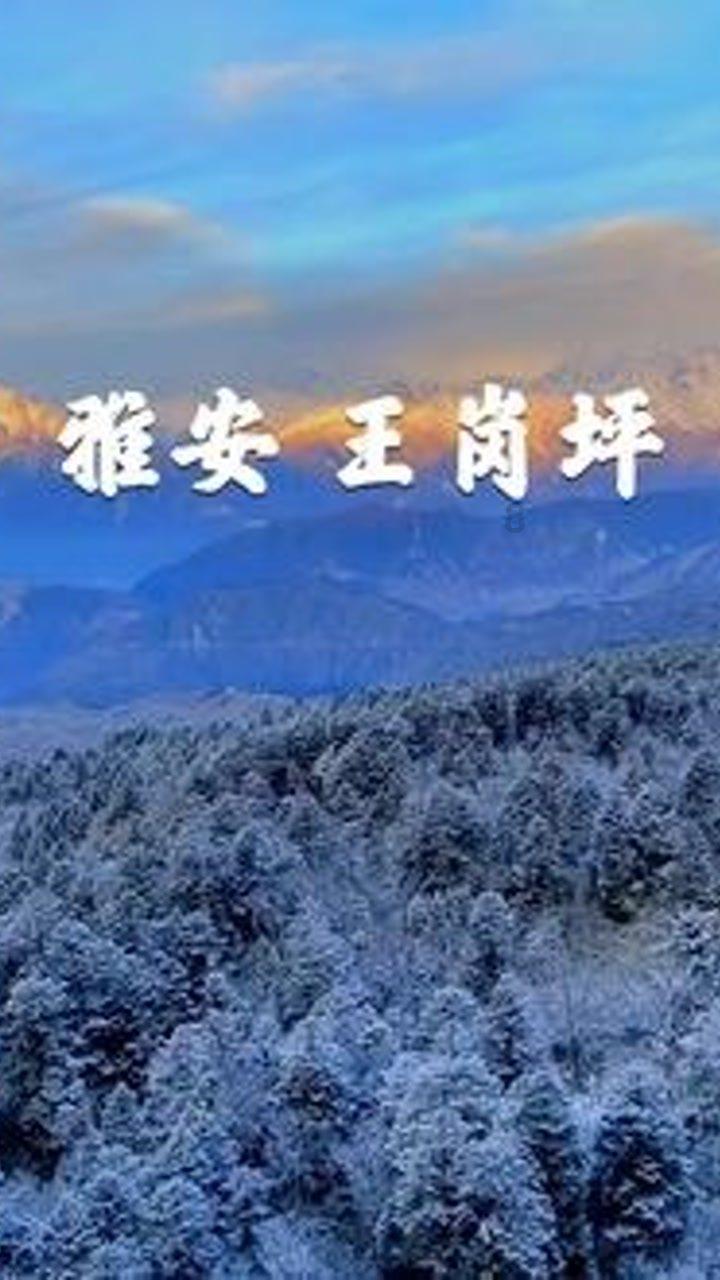 建设工程领域诉讼投资暨企业高质量发展高峰论坛在昆举行